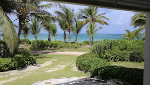 A tropical garden with palm trees and a view of the ocean. - Private Beachfront Home w/Pool, Solar, Banks Rd, Walk to Restaurants (Governors Harbour)