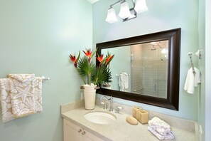 Combined shower/tub, hair dryer, towels