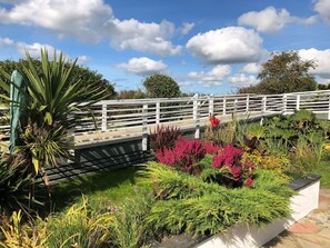 A garden with a white fence, various plants, and a pathway.