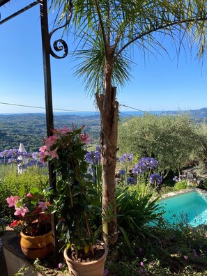 Property grounds - studio - Grasse with garden (Grasse)
