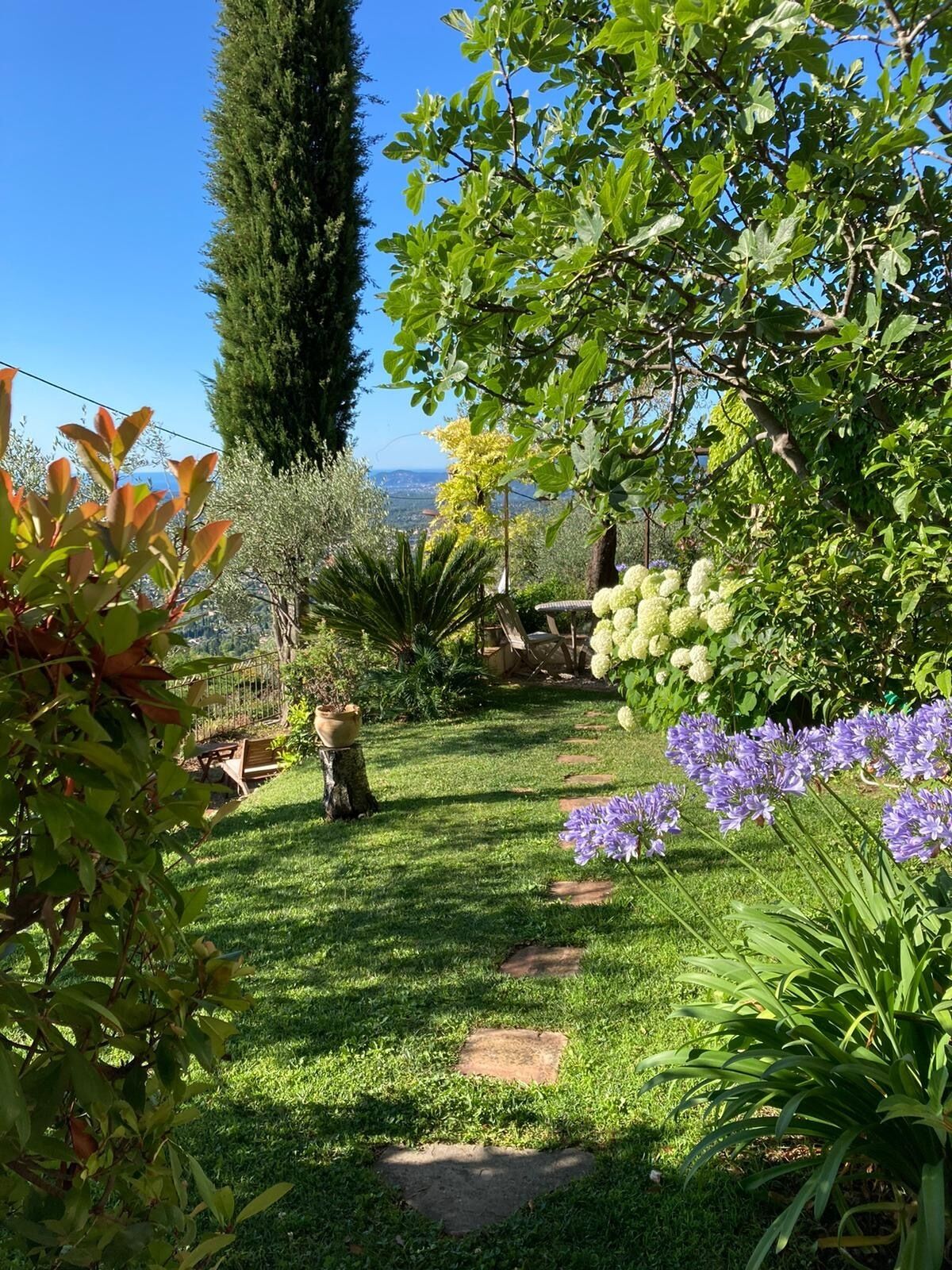 Áreas de la propiedad