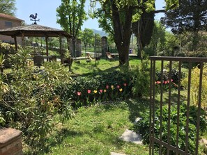 Property grounds - La Ginestra holiday home (Panico di Marzabotto)