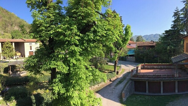 Un patio con un árbol grande, un edificio con balcón y una montaña al fondo.