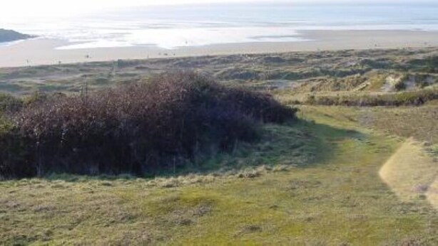 Un paisaje costero con una playa arenosa y dunas cubiertas de hierba.