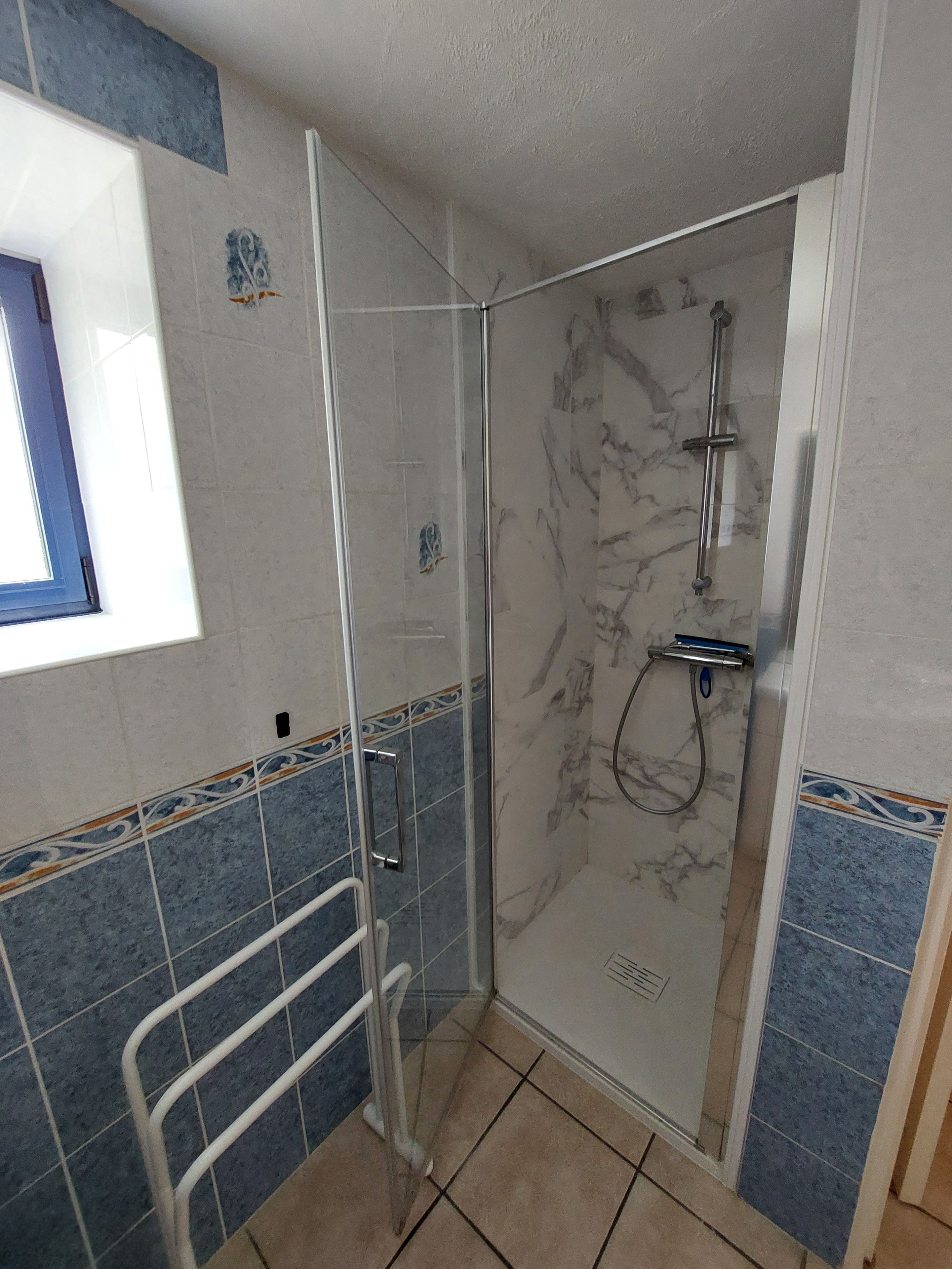 Eine Dusche mit Glastür, Handlauf und Duschkopf.