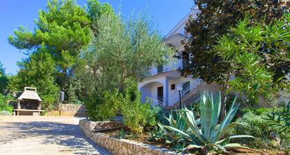 Studio apartment Vlatko 1