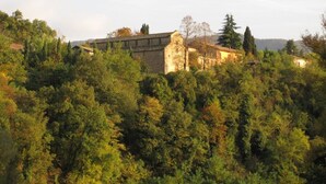 Un edificio de piedra histórico rodeado de un bosque denso.