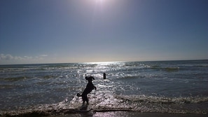 A beach scene with waves and a dog running along the shore.