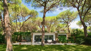 Une maison moderne dotée d’un patio, entourée d’arbres.