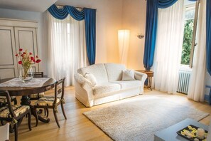 Televisión, chimenea y reproductor de DVD 