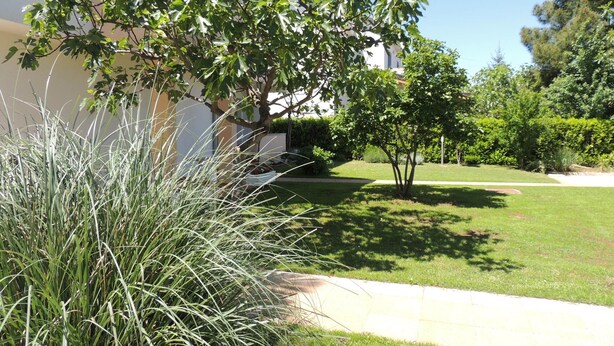 Jardín