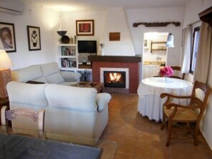 Smart TV, fireplace, DVD player, books