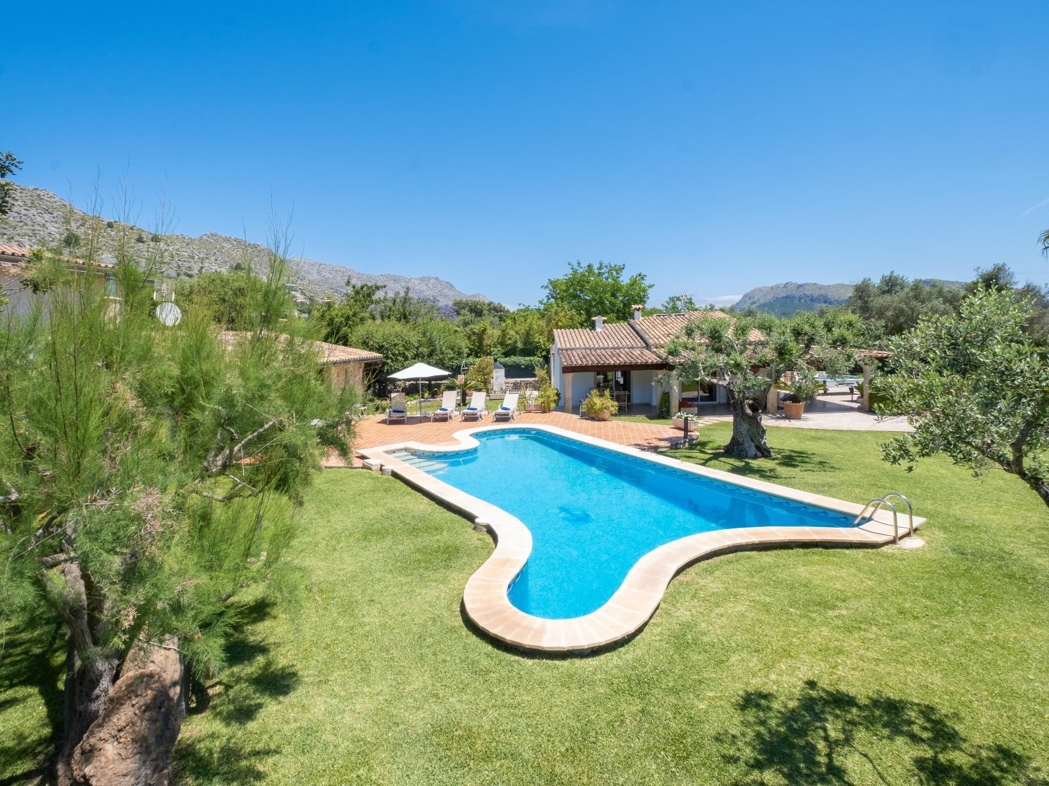 A swimming pool with a curved edge, surrounded by a well-maintained lawn and a small house with a tiled roof.