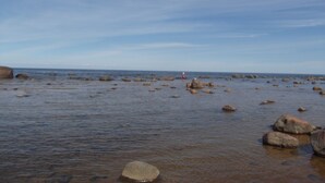 Una costa rocciosa con rocce sparse e acque calme.