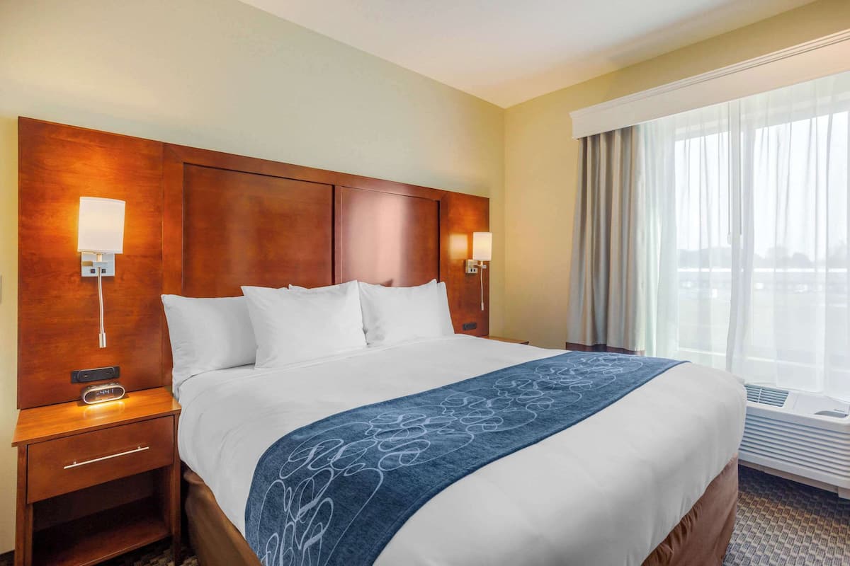 Suite, 1 cama King size y sofá cama, para no fumadores | Edredón, camas con pillow-top y escritorio