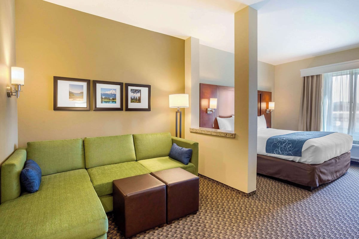Suite, 1 King Bed with Sofa bed, Non Smoking | Down comforters, pillowtop beds, desk, laptop workspace