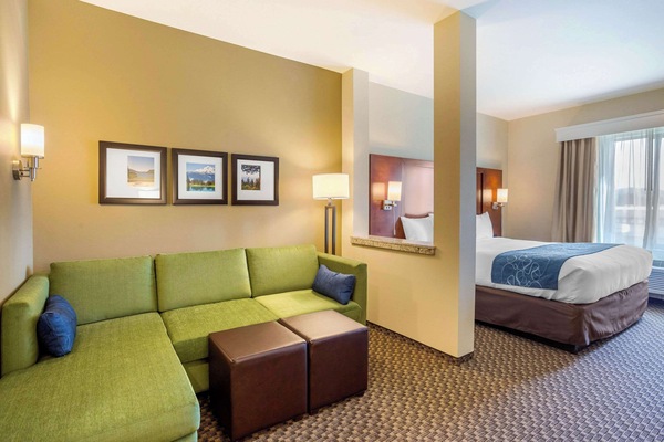 Room, 1 King Bed with Sofa bed, Non Smoking | Down comforters, pillowtop beds, desk, laptop workspace