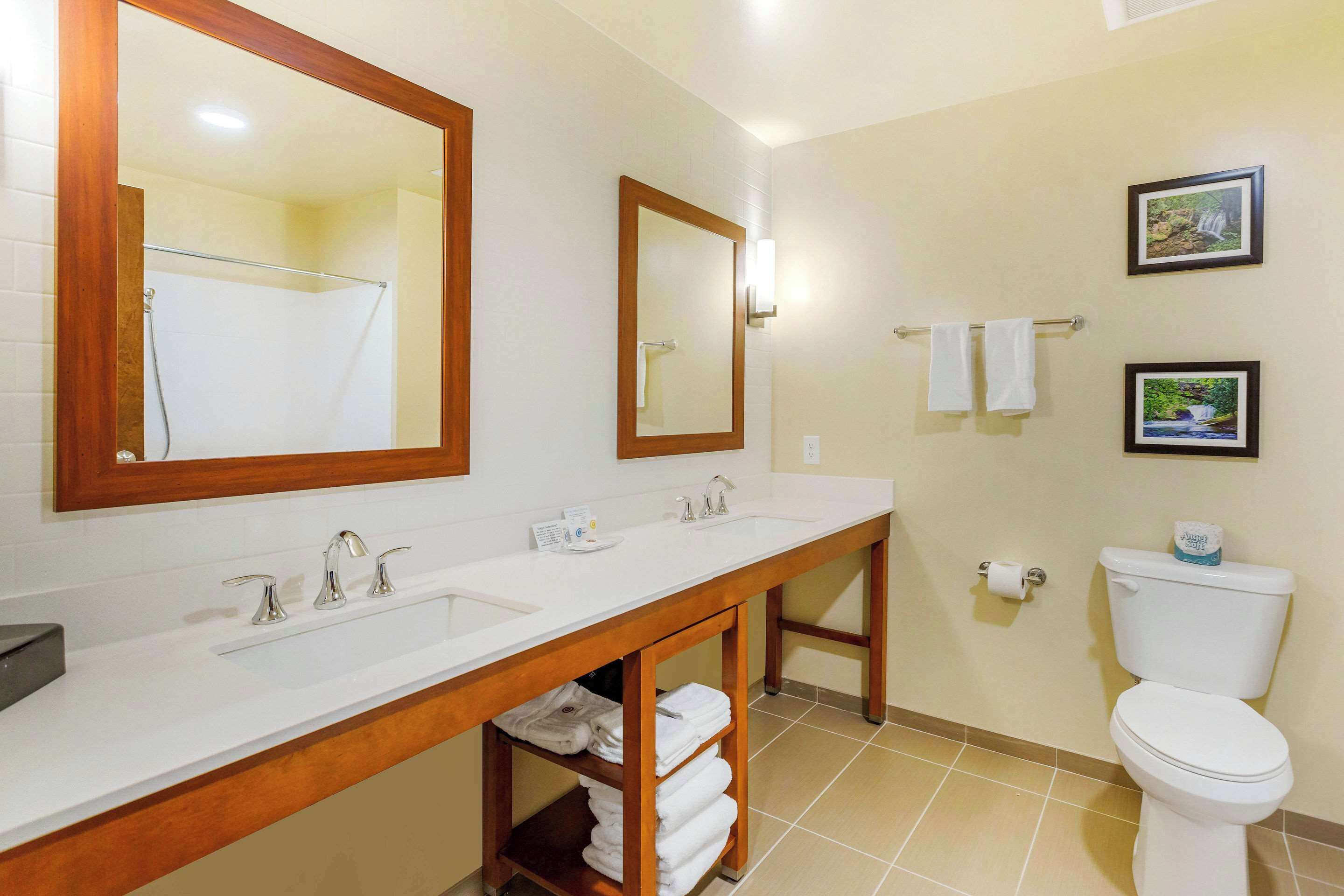 A bathroom with a double sink, a mirror, a toilet, and two framed pictures on the wall.