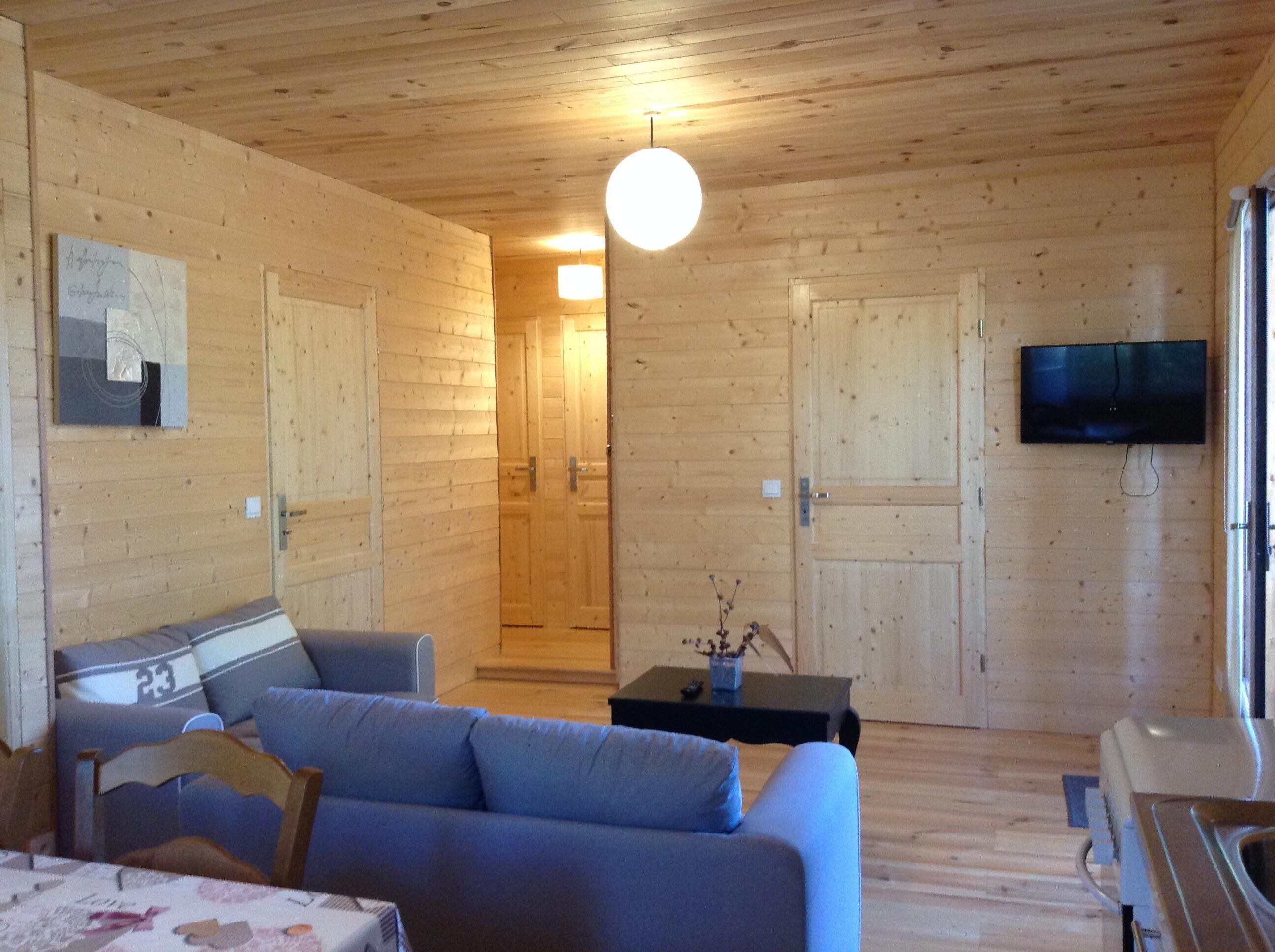 Flat-screen TV, books