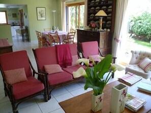 电视、壁炉、DVD 播放器、书