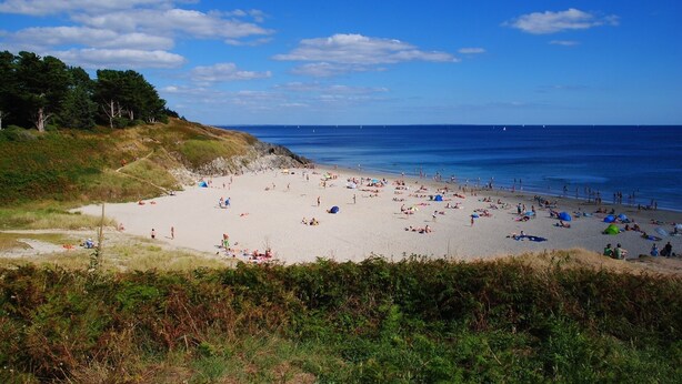 Ein Strand mit Menschen, die sich sonnen und schwimmen, umgeben von viel Grün und dem Meer.