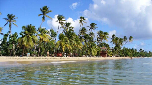 A beach with palm trees, a wooden structure, and clear blue water. - Studio with private jacuzzi (Sainte-Anne)