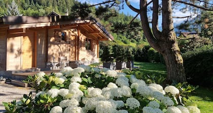 Chalet individuel avec terrasse et jardin privé, proximité du lac d'Annecy
