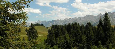 Un paisaje montañoso con bosques densos y un cielo despejado.