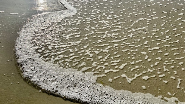 Une plage avec un rivage sablonneux, des vagues et un ciel dégagé.