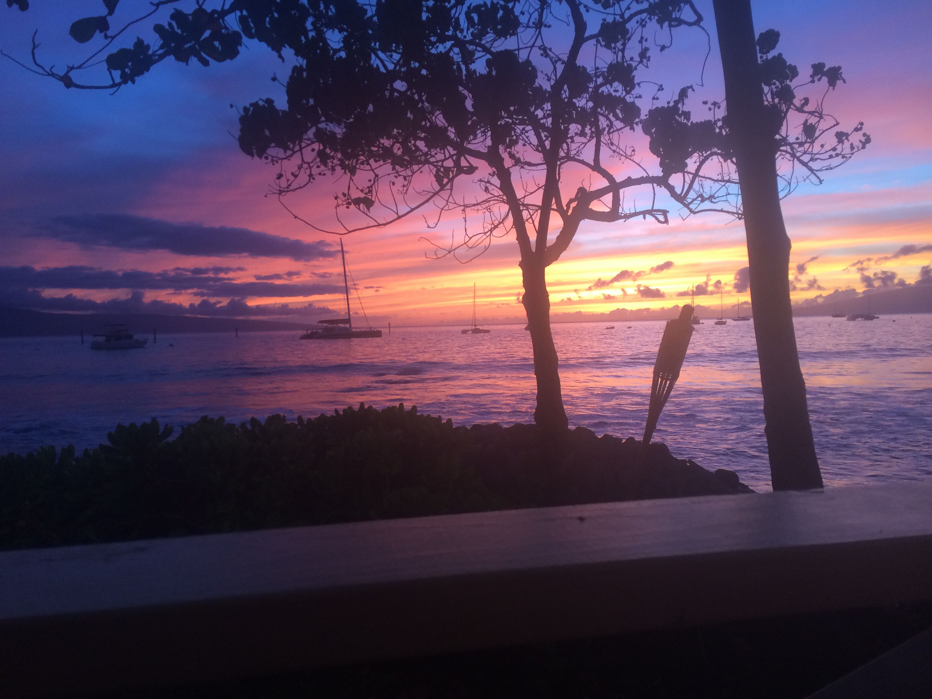 A sunset view from a balcony overlooking a body of water with boats and trees.