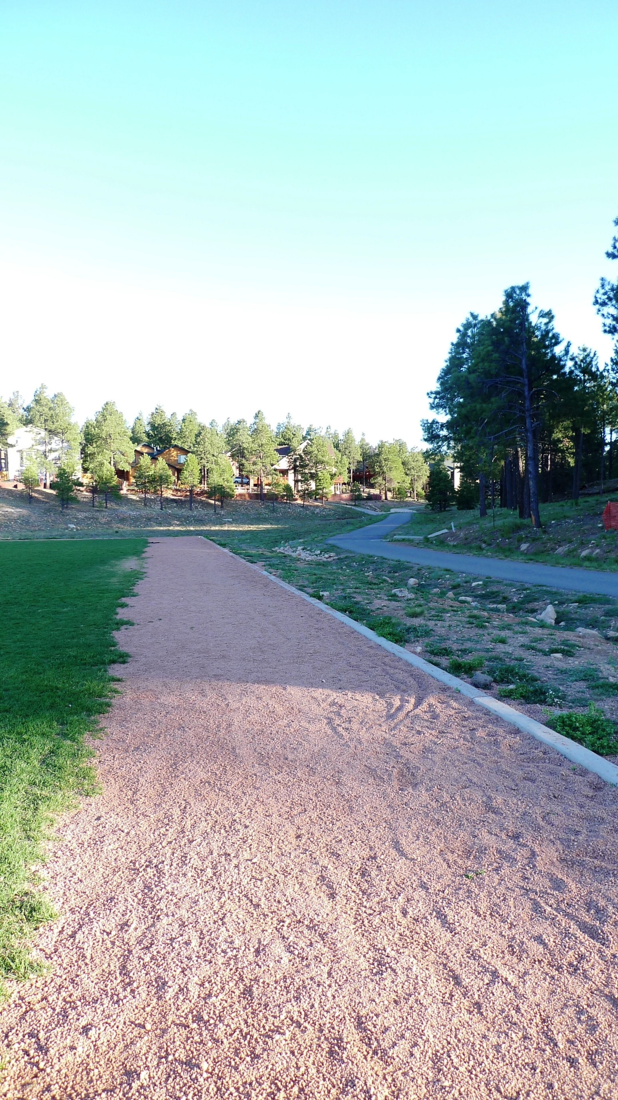 Een grindpad in een park, met gras aan de ene kant en bomen en gebouwen op de achtergrond.