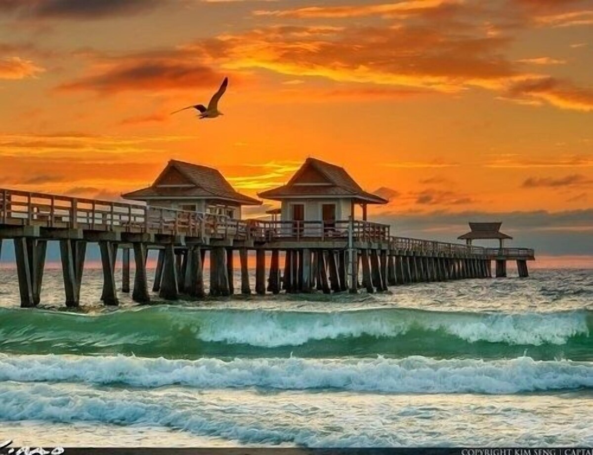 Photo 25 of Naples Fl. Vanderbilt Beach Waterfront- Magnificent Vanderbilt Bay!