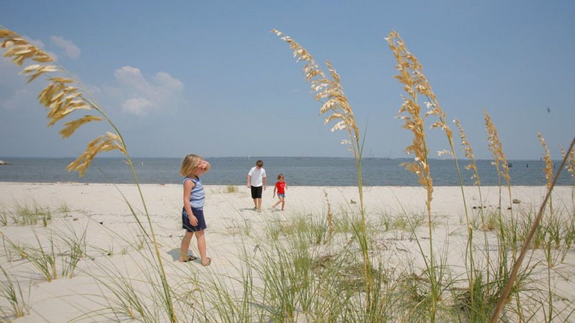 Ein Strand mit Sand, Gras und blauem Himmel.