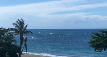 NEW - The Perfect Home Away from Home