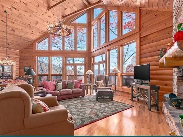 TV, fireplace, table tennis, books