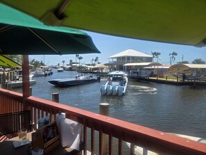 Property grounds - Grandpas Oasis just out of Sanibel & Ft Myers Beach traffic Private heated pool (Fort Myers)