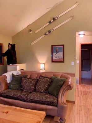 Smart TV, fireplace, DVD player, video library