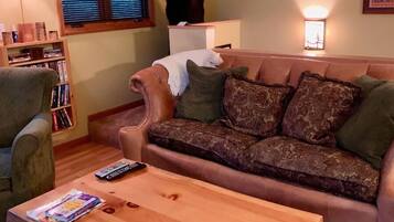Smart TV, fireplace, DVD player, video library