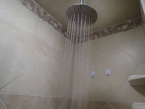 Rainfall showerhead, hair dryer, towels, soap - Countryside Loft. Fairhope. 17 acres. 15min-downtown F'hope. 35min-Gulf (Fairhope)