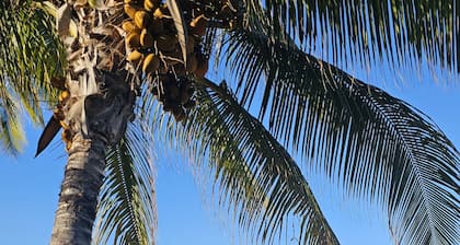 White Sands Village #207 Lanai Ocean/MT Views Beach Access Pool Hot Tub