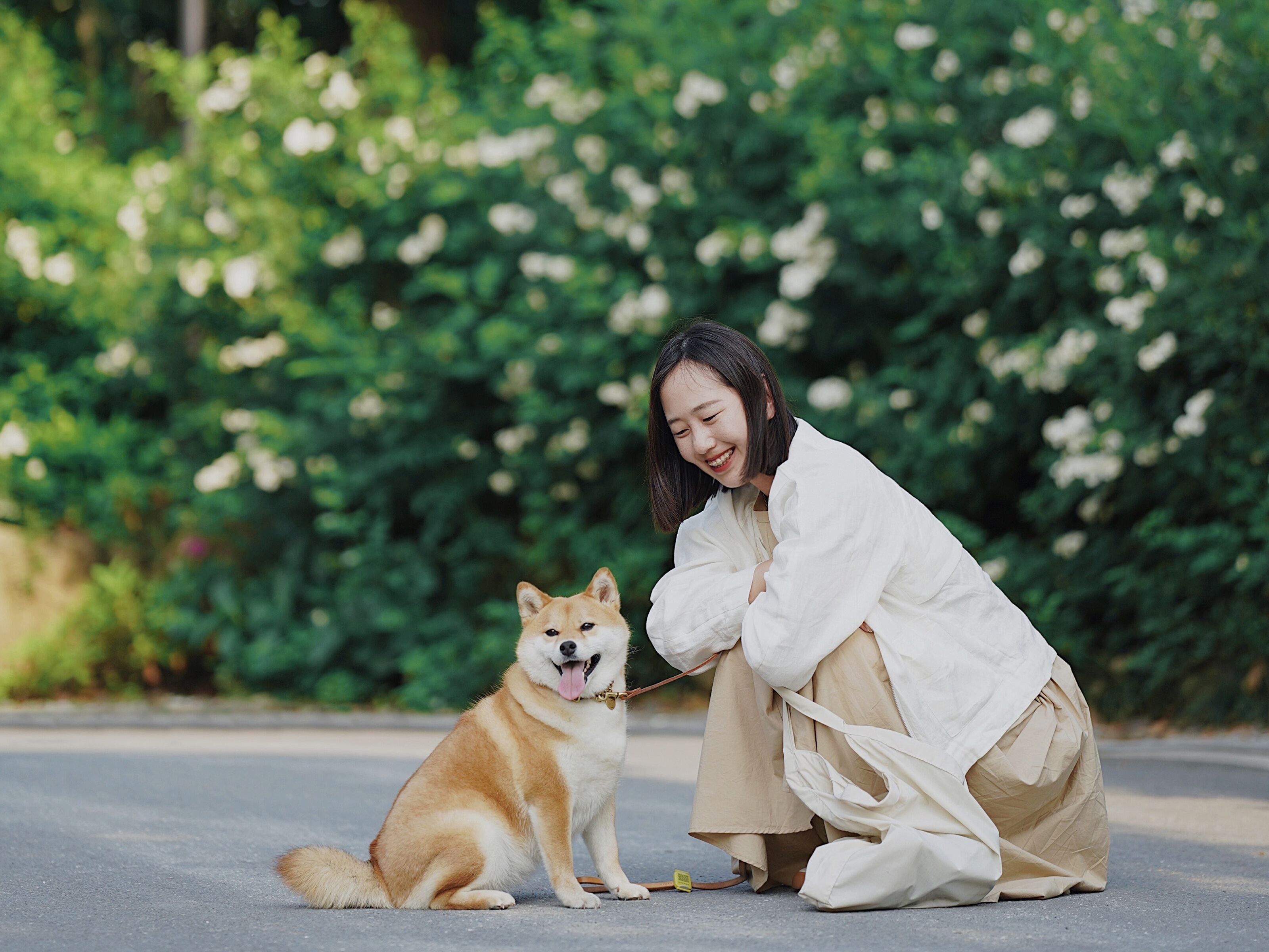 A person sitting on the ground with a dog in a park.