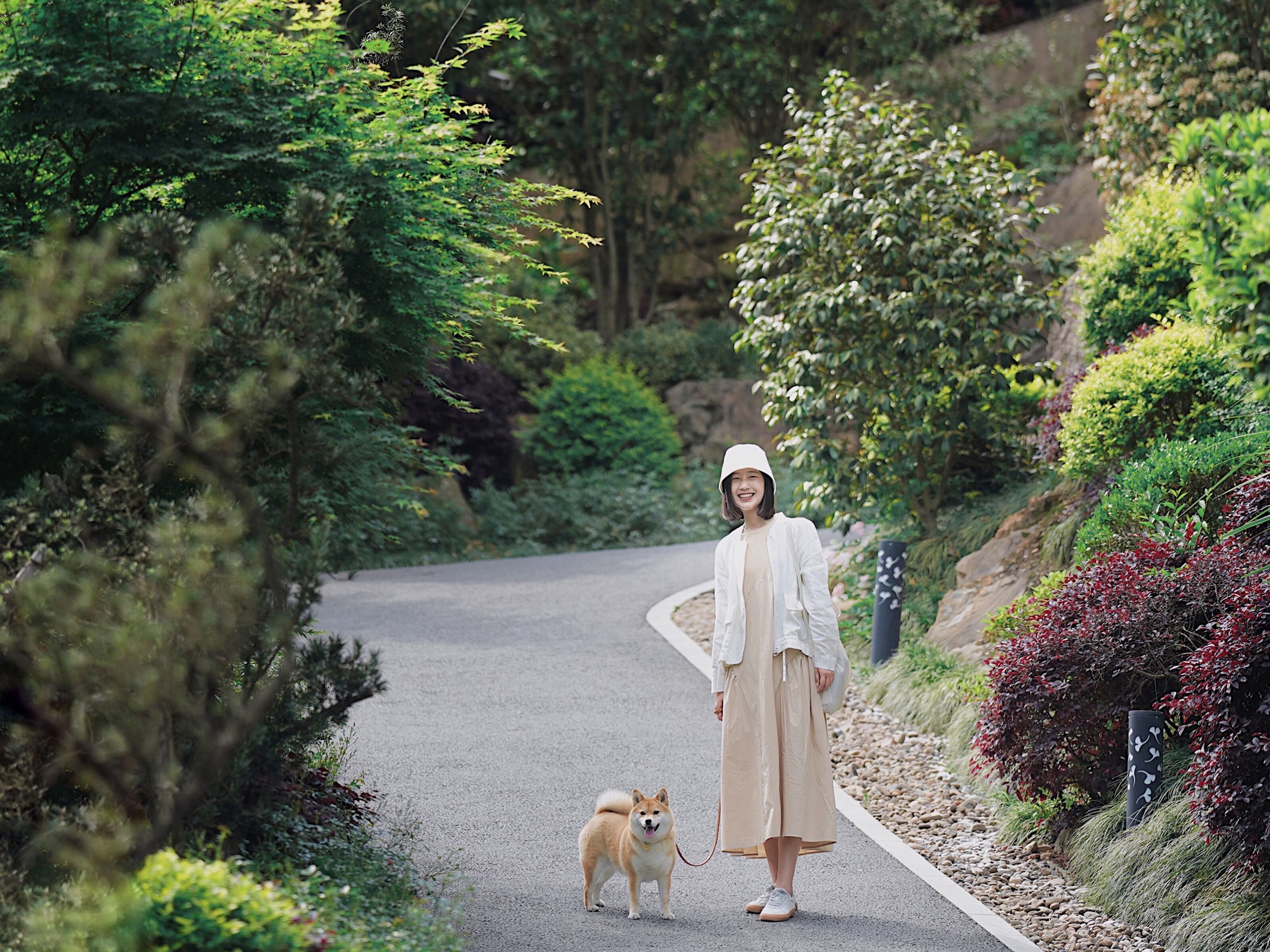 A person walking a dog on a paved path surrounded by lush greenery.