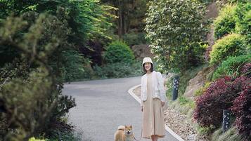 A person walking a dog on a paved path surrounded by lush greenery.