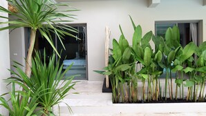 Un edificio moderno con fachada limpia, una escalera que conduce a la entrada y diversas plantas verdes en la parte frontal.