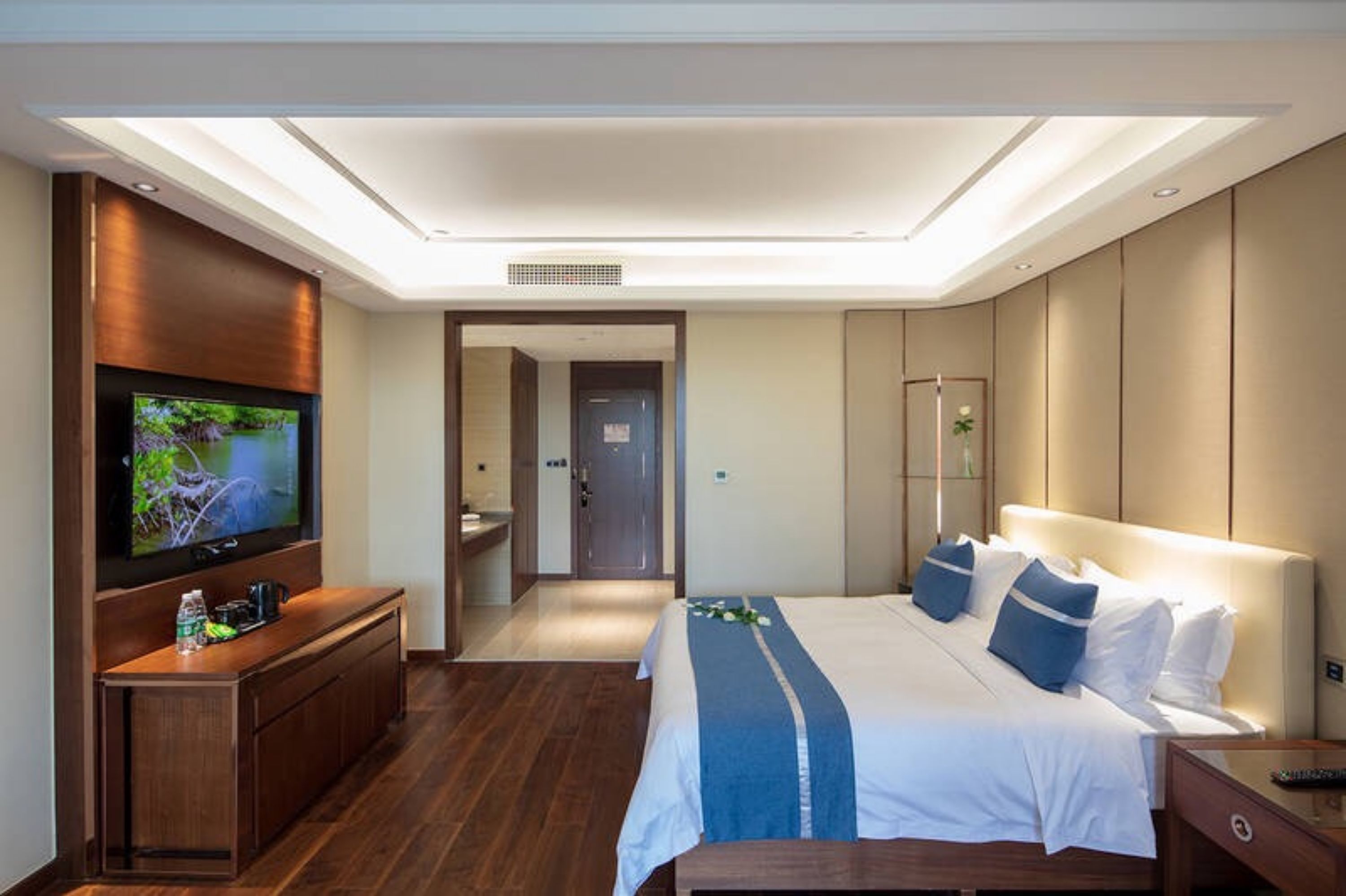Una habitación de hotel moderna con una cama grande, un televisor de pantalla plana, un aparador de madera y un vestidor.