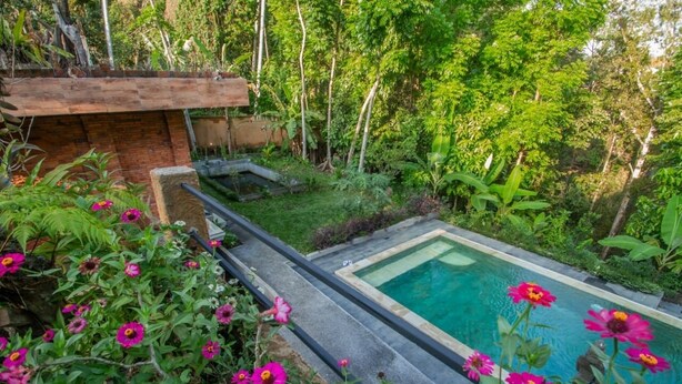 A rectangular pool with a stone edge, surrounded by lush greenery and flowering plants.