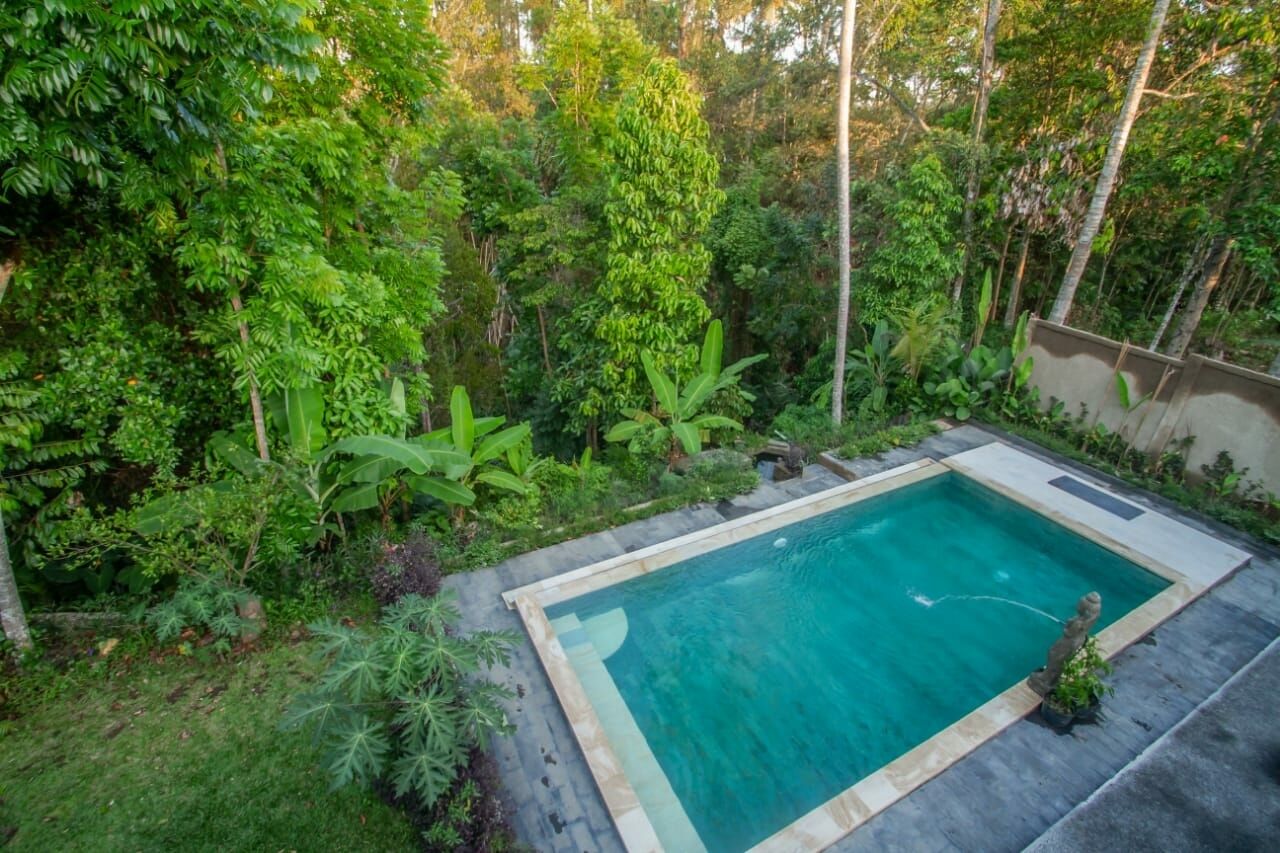 Ein rechteckiger Pool mit Steinrand, umgeben von üppiger Vegetation und Bäumen.