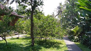 A pathway through a lush garden with a variety of trees and shrubs, leading to a building with a tiled roof.
