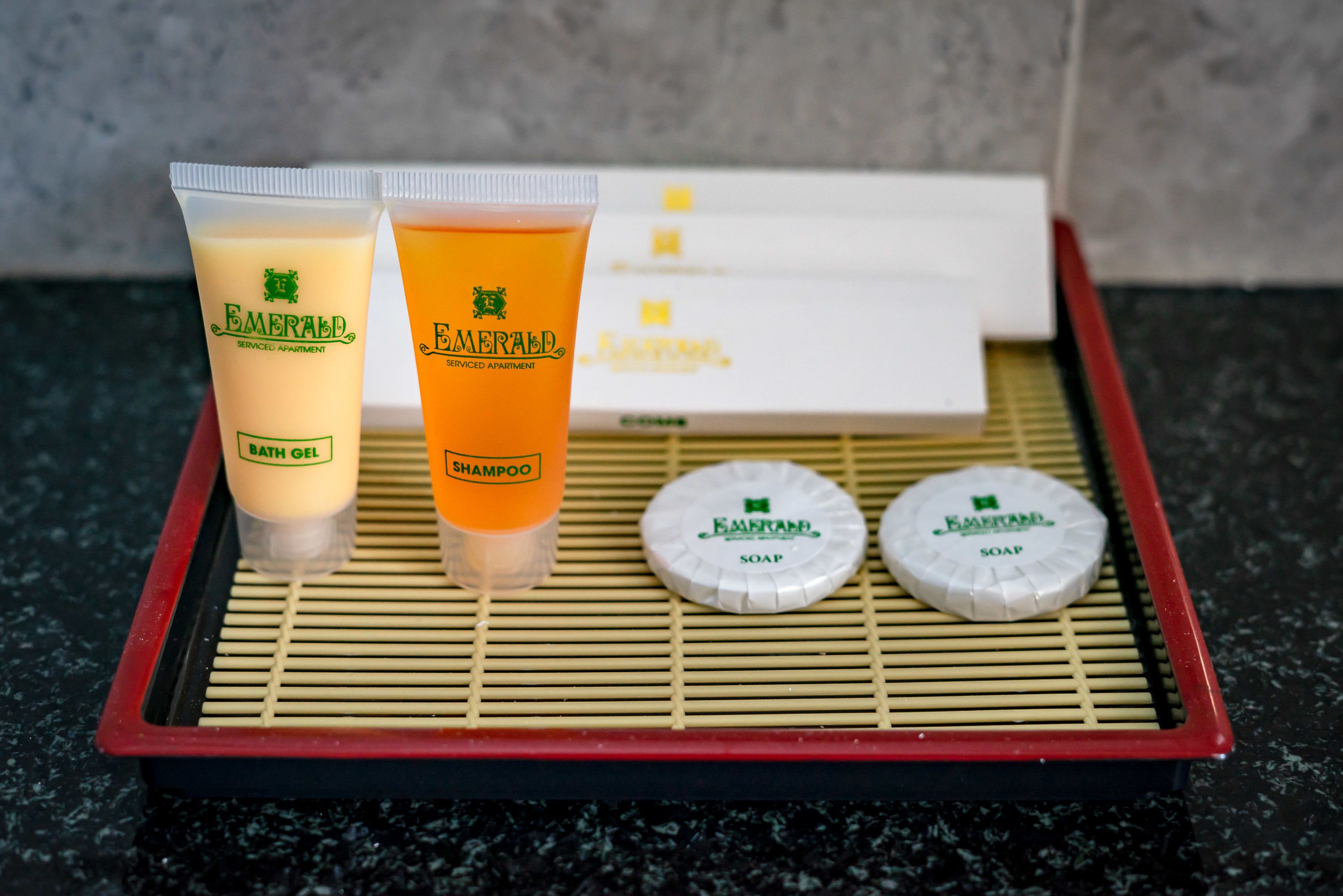 Bandeja con gel de baño, champú y jabón del Apartamento con Servicios Emerald.