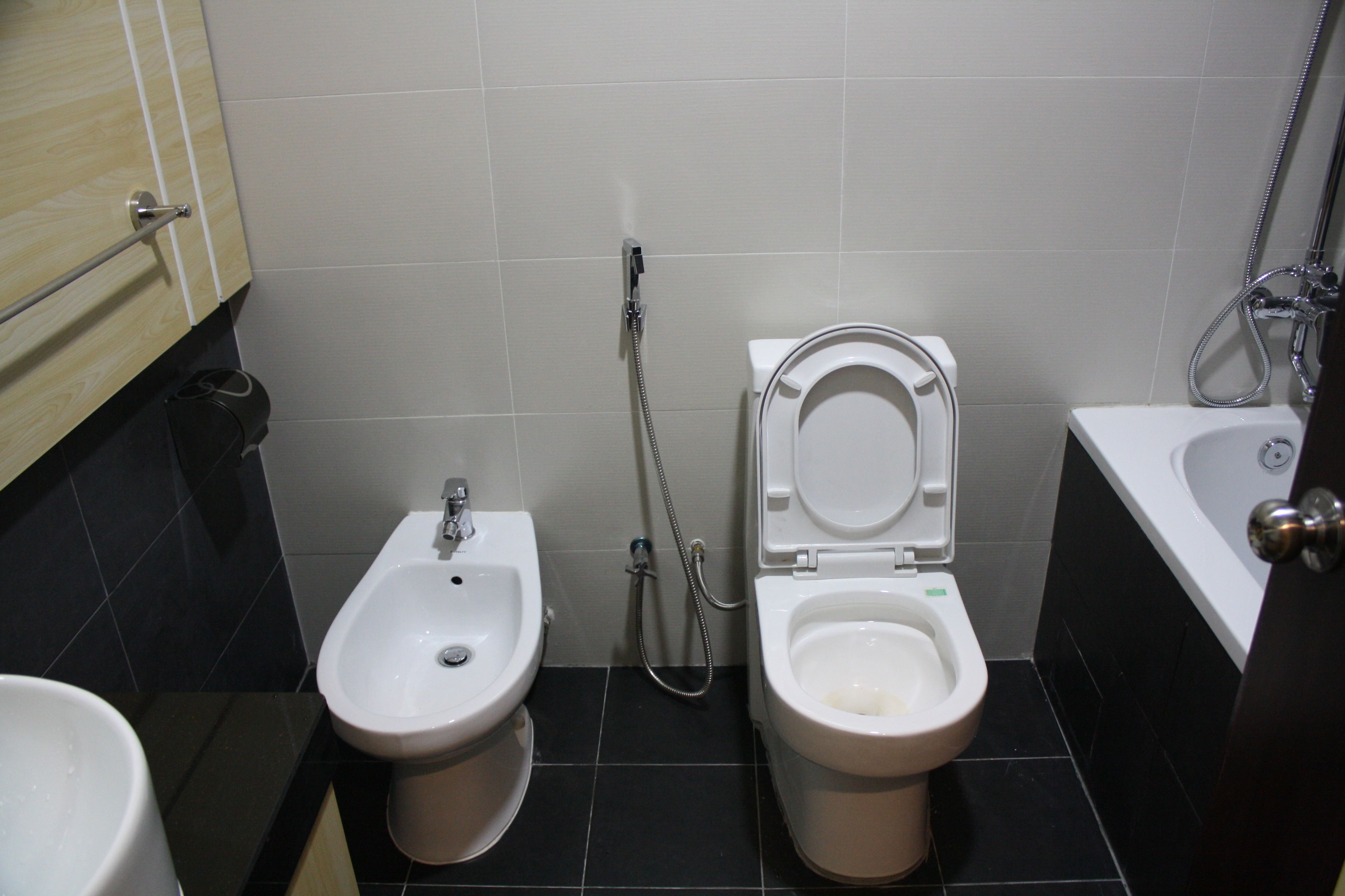 combined shower/bathtub, rainfall showerhead, slippers, bidet